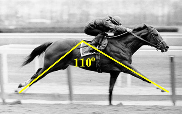 Horse Racing Speed Index Chart