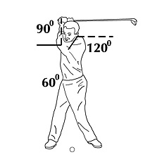 Your hips are 60 degrees back at the backswing.
